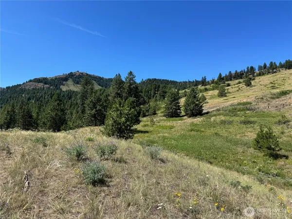 a view of a yard with a mountain in the background