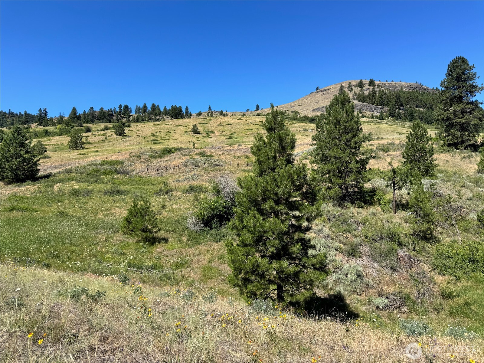 1 A Lundimow Meadows Road Curlew, WA 99118 - Photo 16 of 23 a view of a large building with a yard