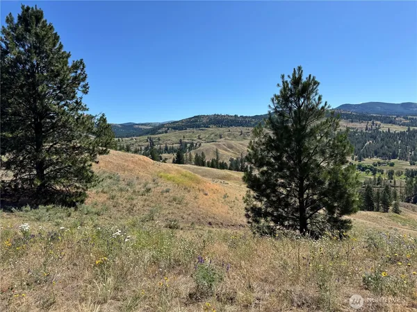 a view of a dry yard with mountains in the background