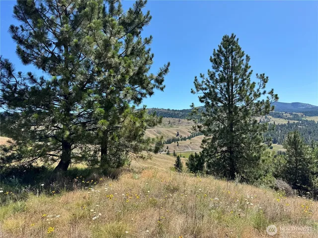 a view of a yard with a tree
