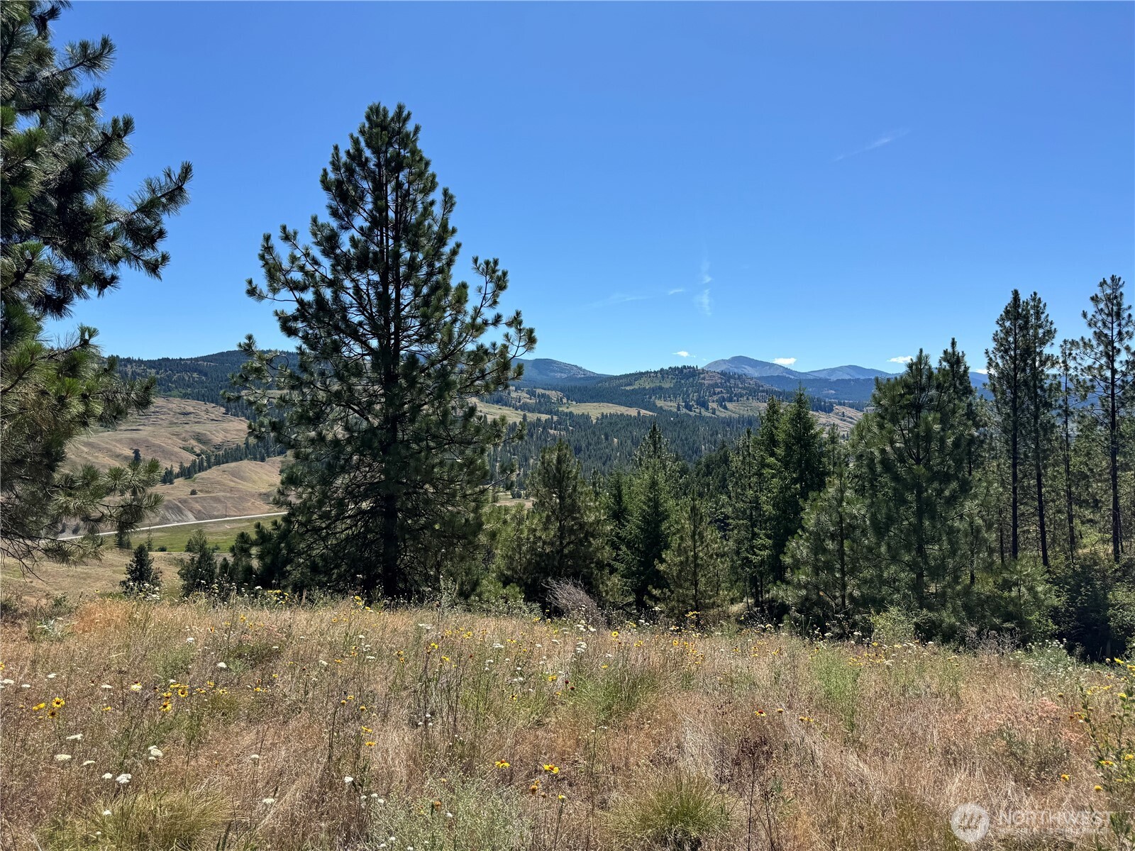1 A Lundimow Meadows Road Curlew, WA 99118 - Photo 23 of 23 a view of a dry yard