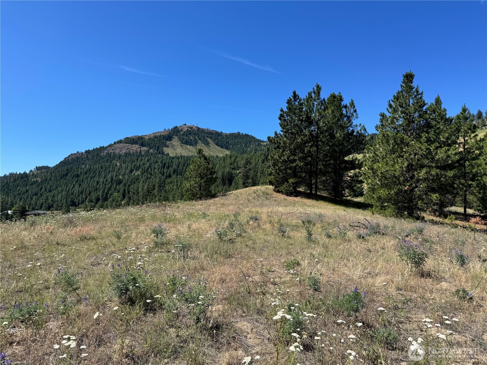 1 A Lundimow Meadows Road Curlew, WA 99118 - Photo 3 of 23 a view of a field