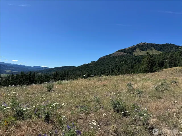 a view of mountain with lake view