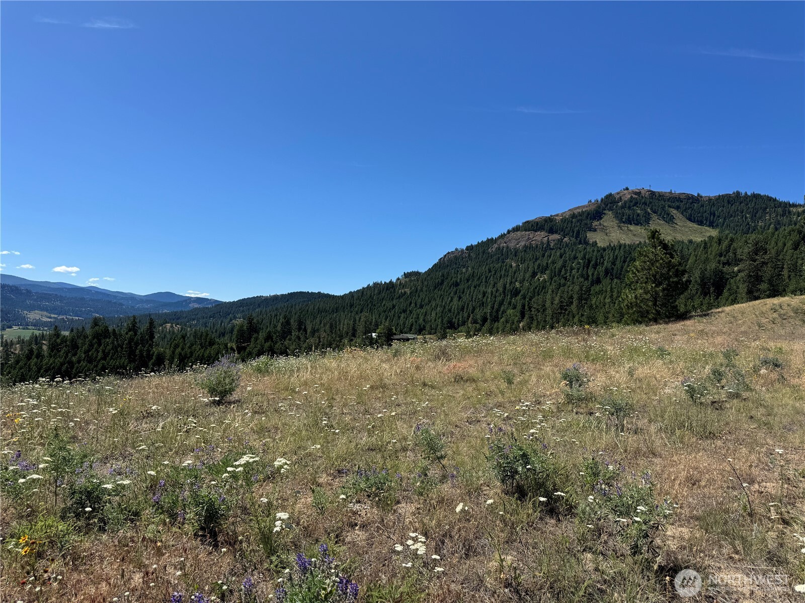 1 A Lundimow Meadows Road Curlew, WA 99118 - Photo 4 of 23 a view of mountain with lake view
