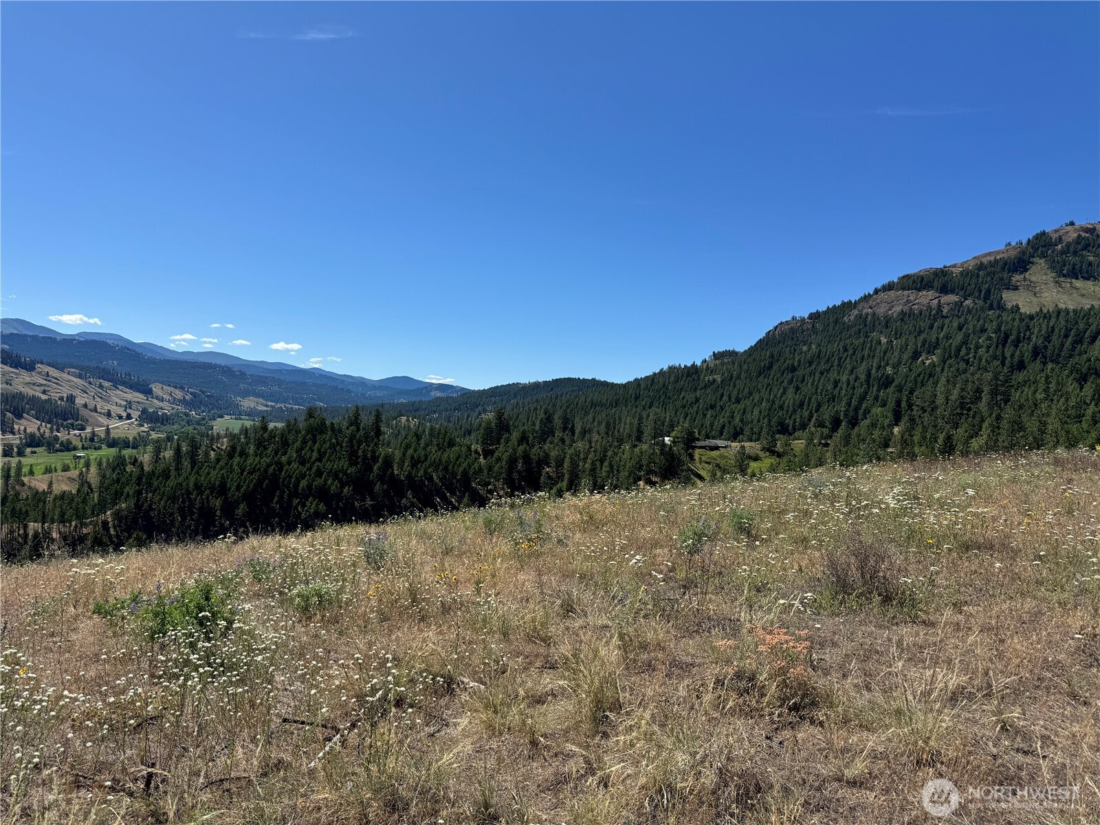 1 A Lundimow Meadows Road Curlew, WA 99118 - Photo 5 of 23 a view of mountain with a yard
