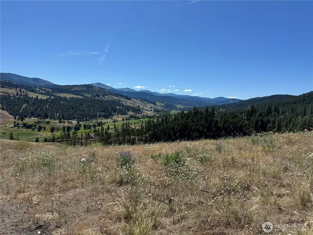 a view of lake with mountain