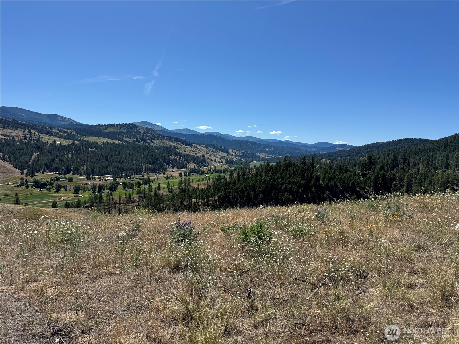 1 A Lundimow Meadows Road Curlew, WA 99118 - Photo 6 of 23 a view of lake with mountain