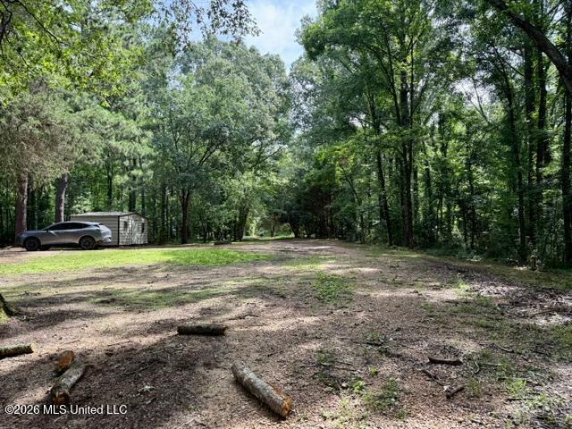 55 Scheffel Road Natchez, MS 39120 - Photo 4 of 29 55 Scheffel Pic 4