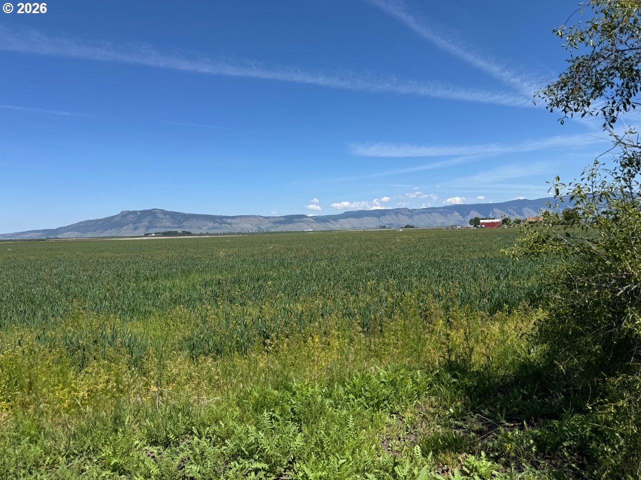 63563 Booth Lane La Grande, OR 97850 - Photo 4 of 24 a view of a field with an ocean