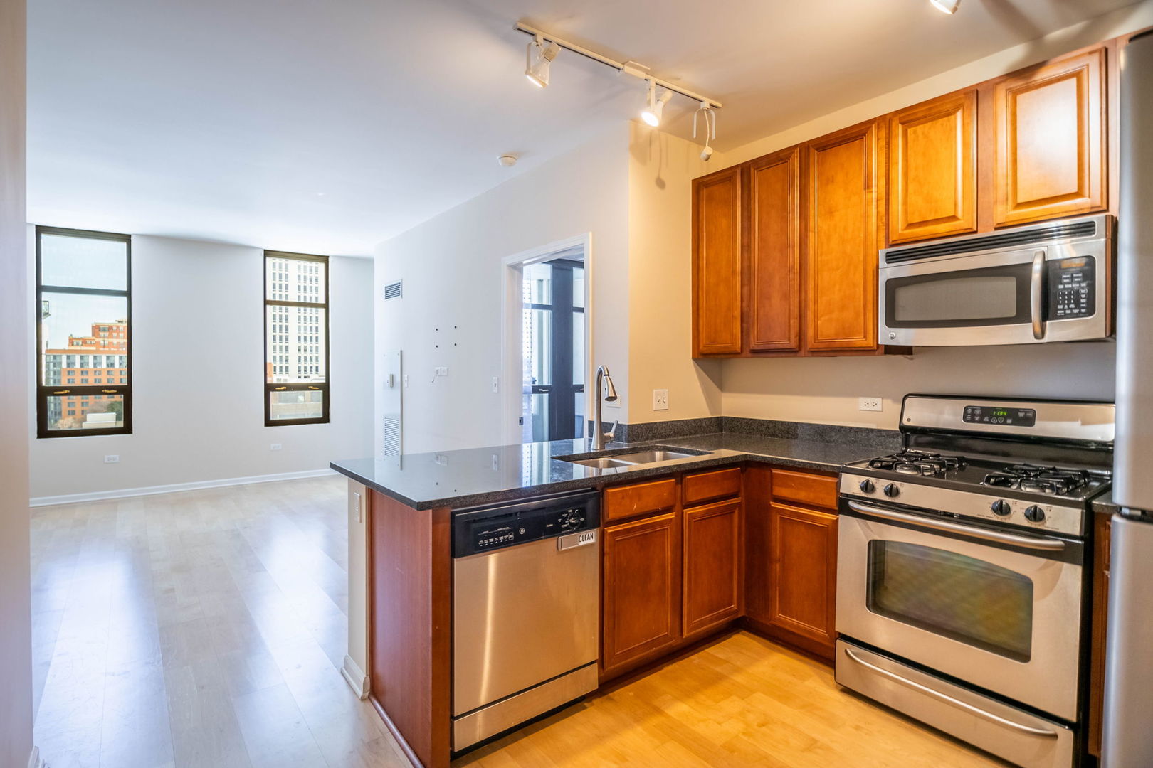 1255 South State Street, Unit 905 Chicago, IL 60605 - Photo 6 of 24 a kitchen with stainless steel appliances granite countertop a stove a sink and a microwave