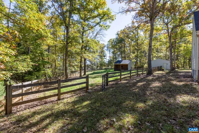 a view of a yard with plants