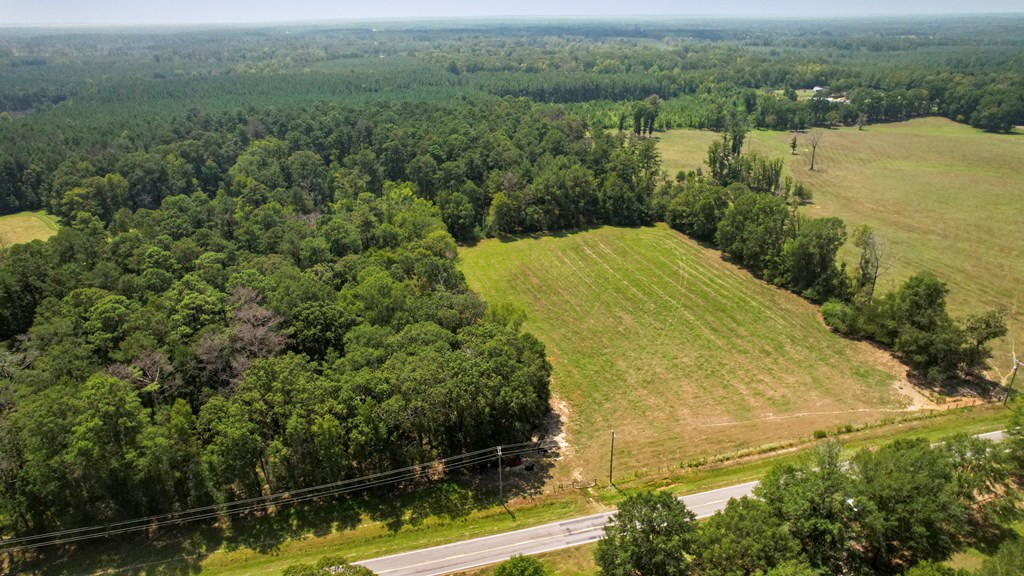 Tbd Bogue Chitto Road Southeast Bogue Chitto, MS 39629 - Photo 6 of 11 Photo 6