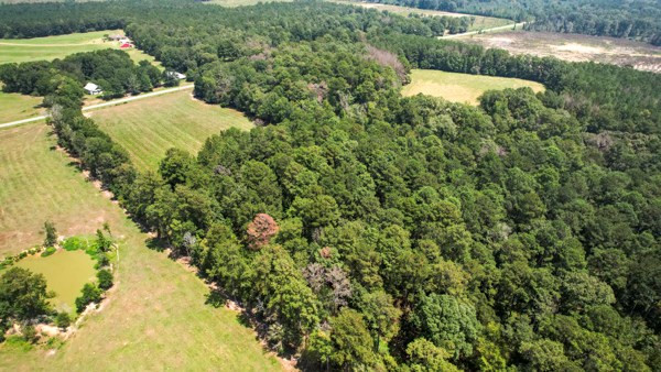 Tbd Bogue Chitto Road Southeast Bogue Chitto, MS 39629 - Photo 10 of 11 Photo 10