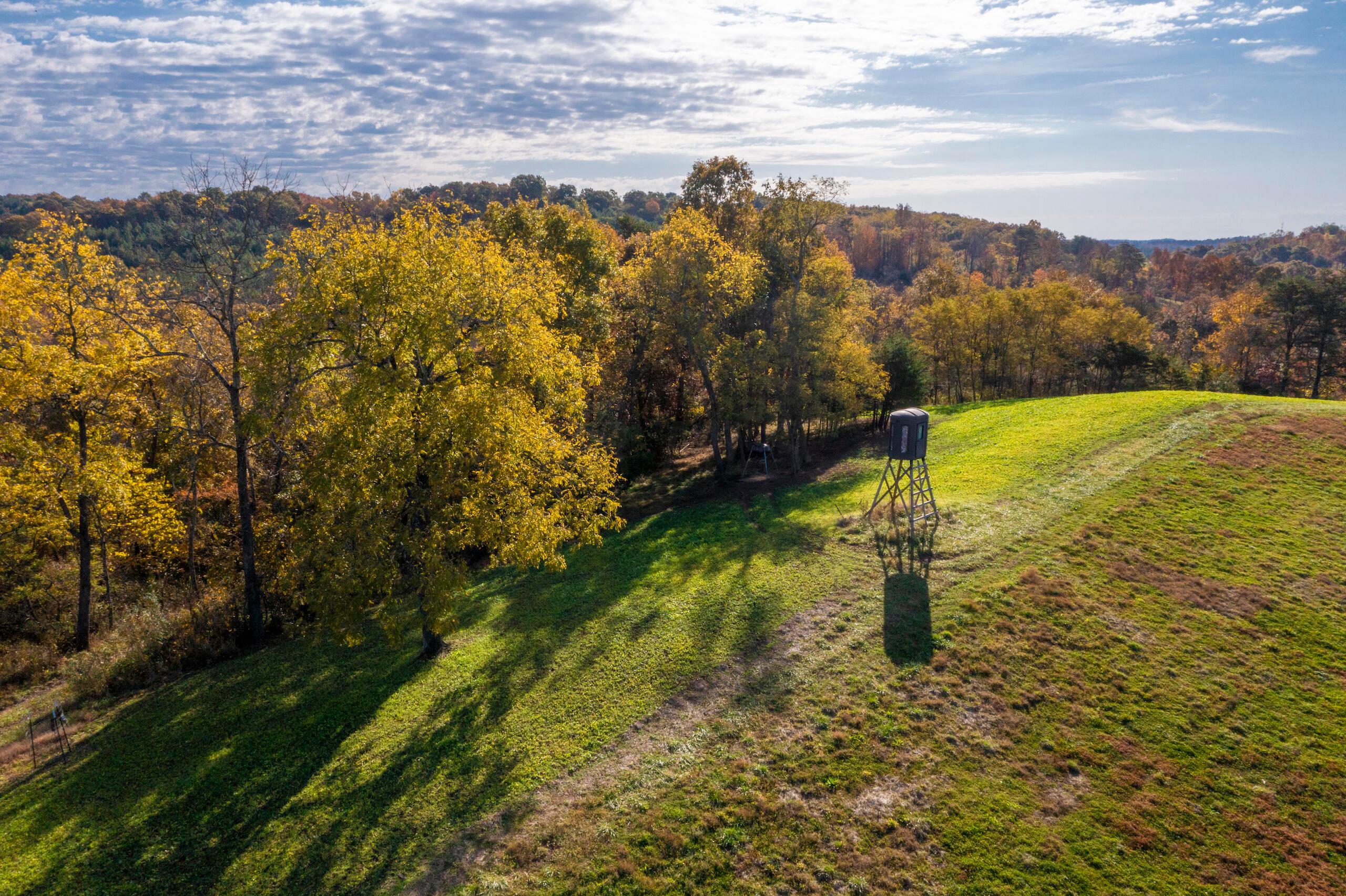 1426 Sealy Ridge Road Vincent, OH 45784 - Photo 12 of 52 DJI_0760-61