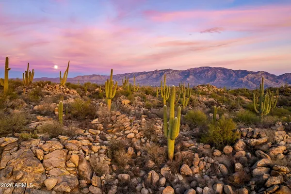 $4,395,000 | 1313 Tortolita Mountain Circle, Oro Valley, AZ 85755