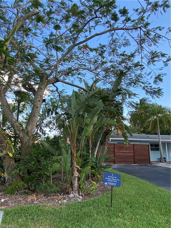 778 5th Avenue North Naples, FL 34102 - Photo 11 of 23 a view of a backyard with plants and a large tree