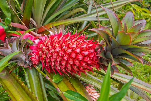 a view of a small yard