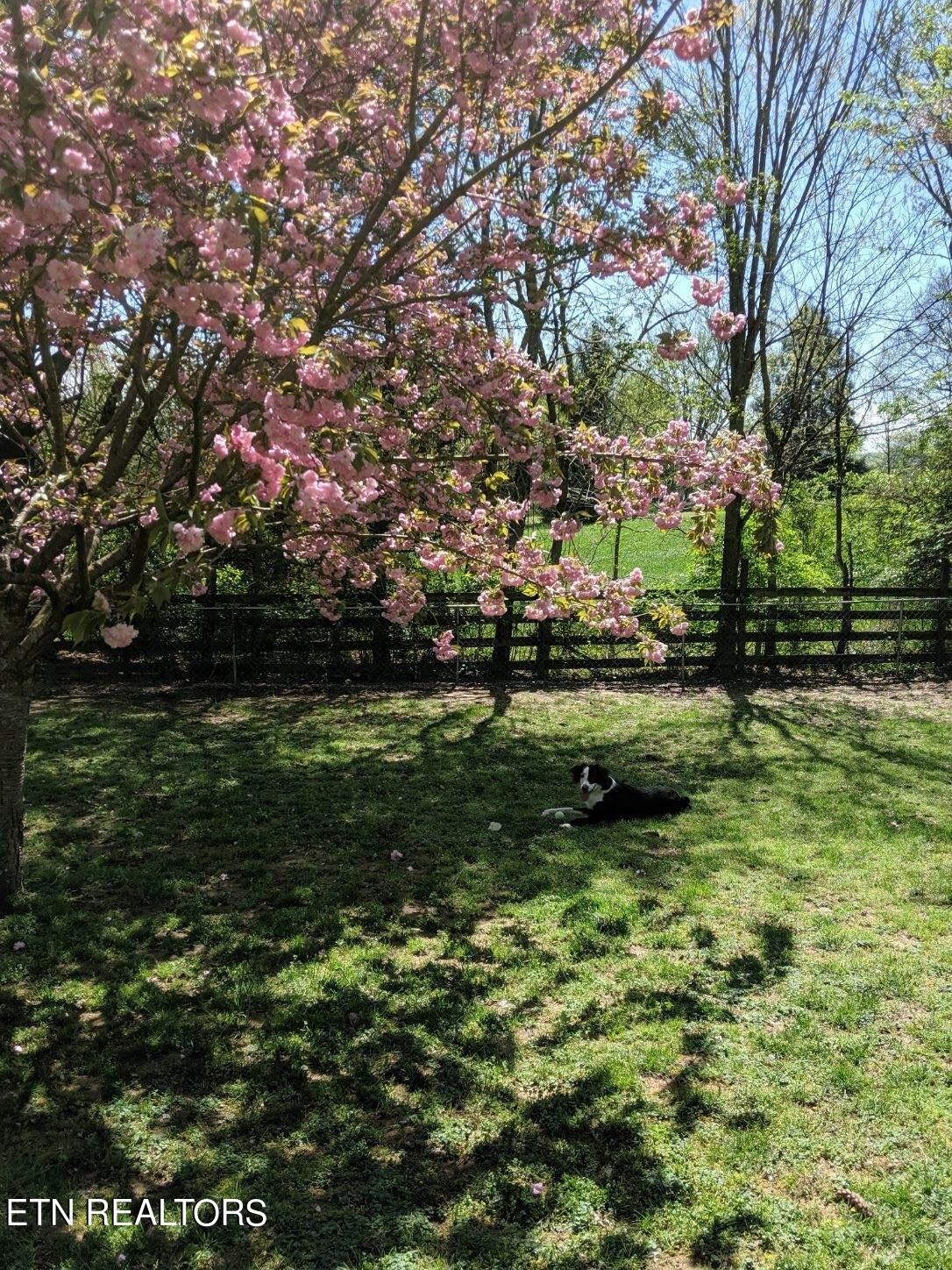 328 Waters Road Maryville, TN 37803 - Photo 35 of 38 image000000