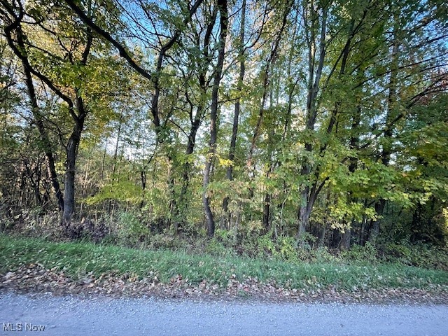 34455 Homer Reed Road Barnesville, OH 43713 - Photo 6 of 11 View of nature
