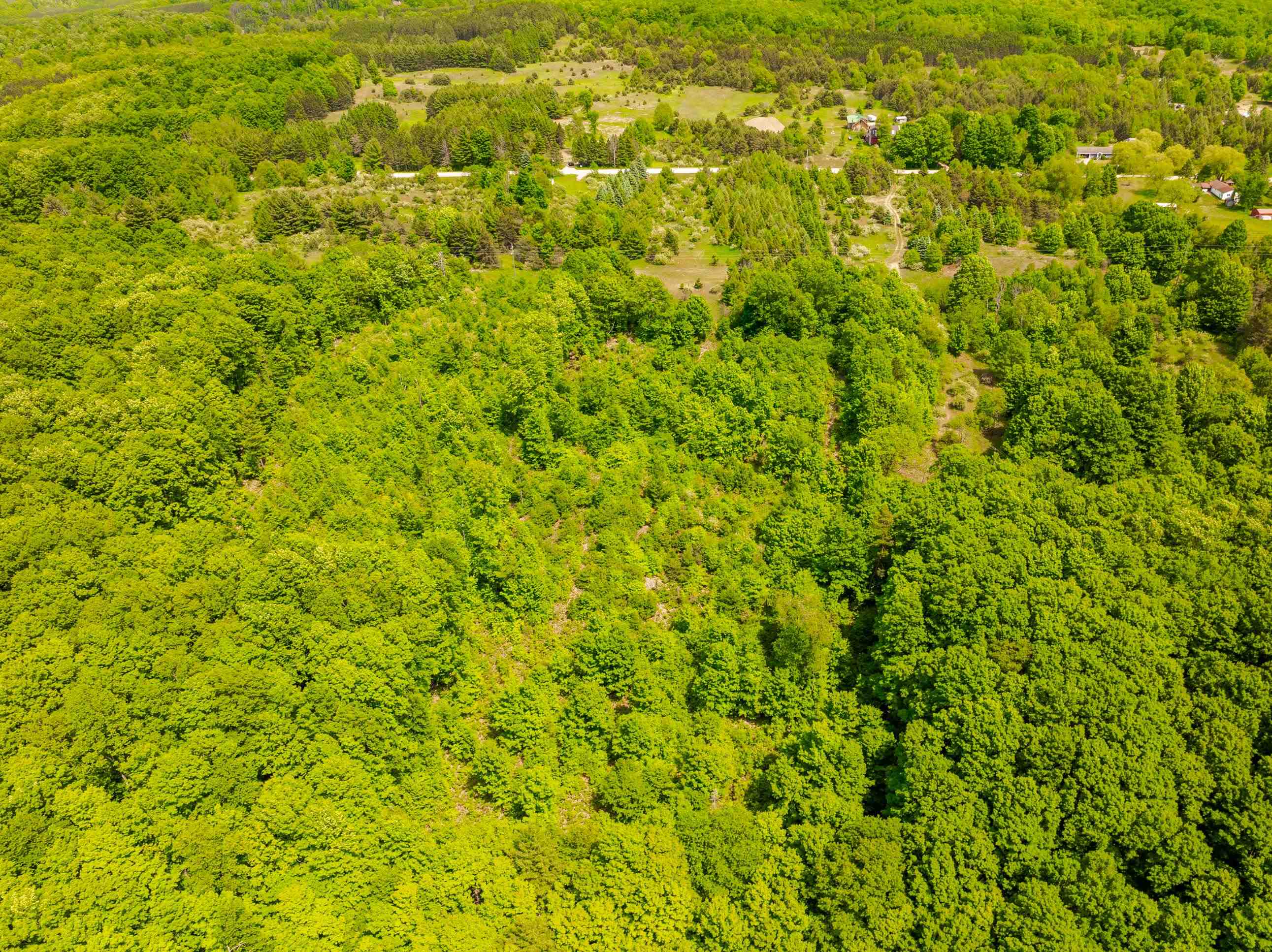 Tbd Traverse Road Thompsonville, MI 49683 - Photo 15 of 40