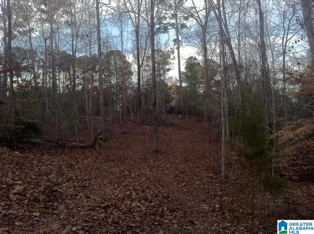102 Hickory Way, Unit 56 ACRES Dadeville, AL 36853 - Photo 12 of 14