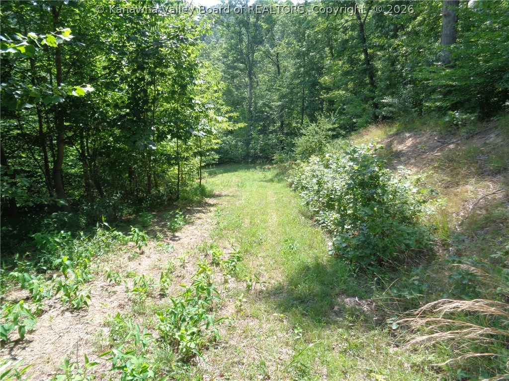 0 Beechie Fork Road Alum Creek, WV 25003 - Photo 14 of 15 Gallery Image 14