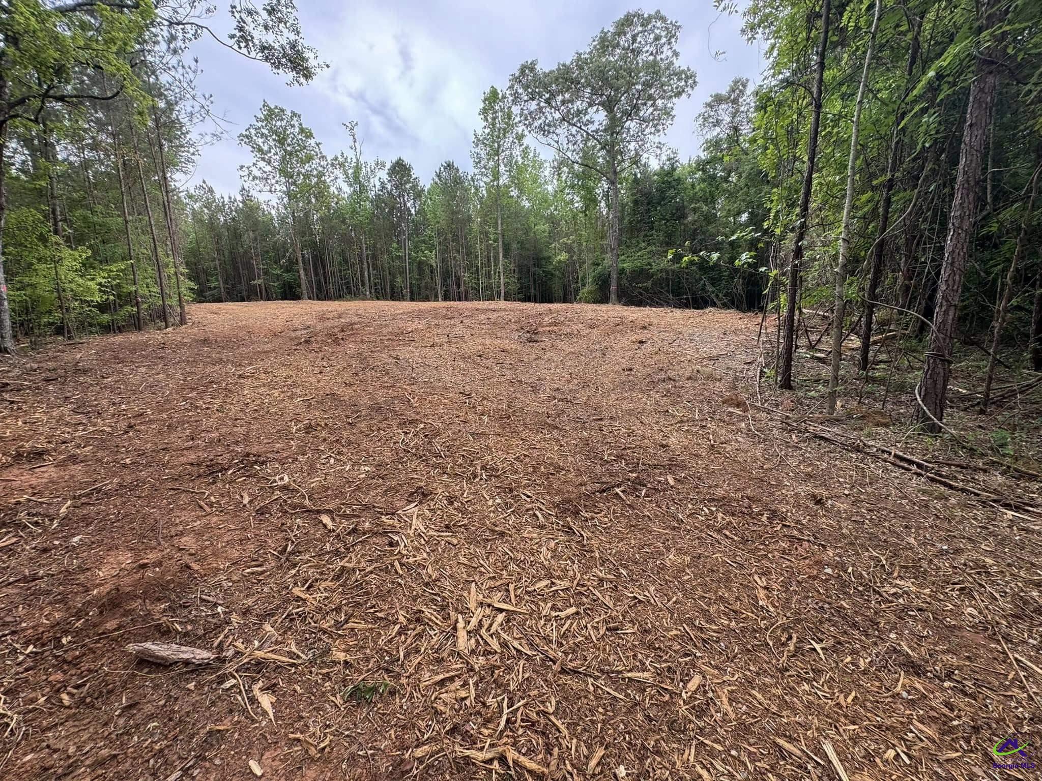 0 Juliette Road Forsyth, GA 31029 - Photo 2 of 3