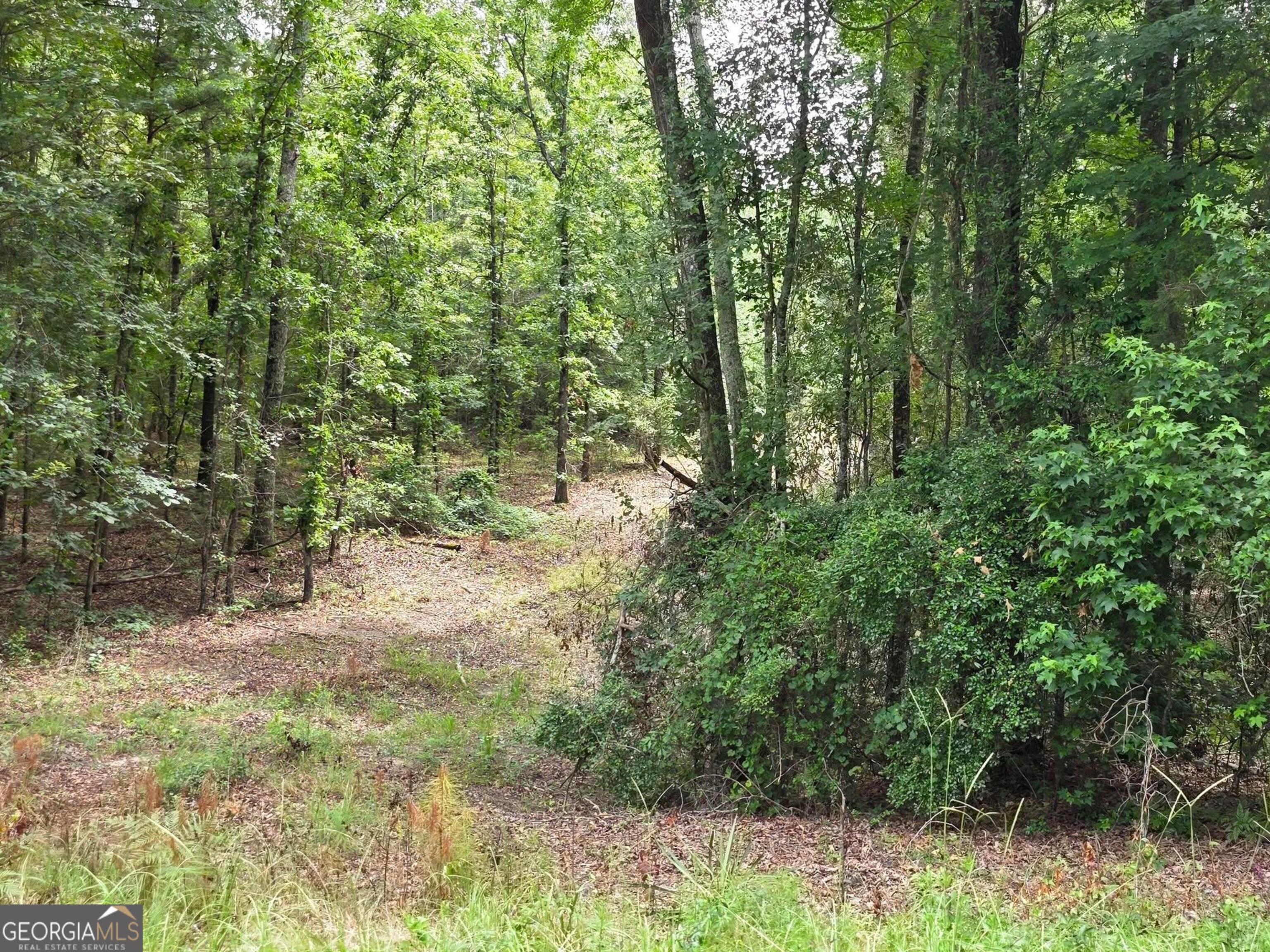 456 Horseshoe Circle Macon, GA 31217 - Photo 14 of 34 a view of a yard with plants and trees