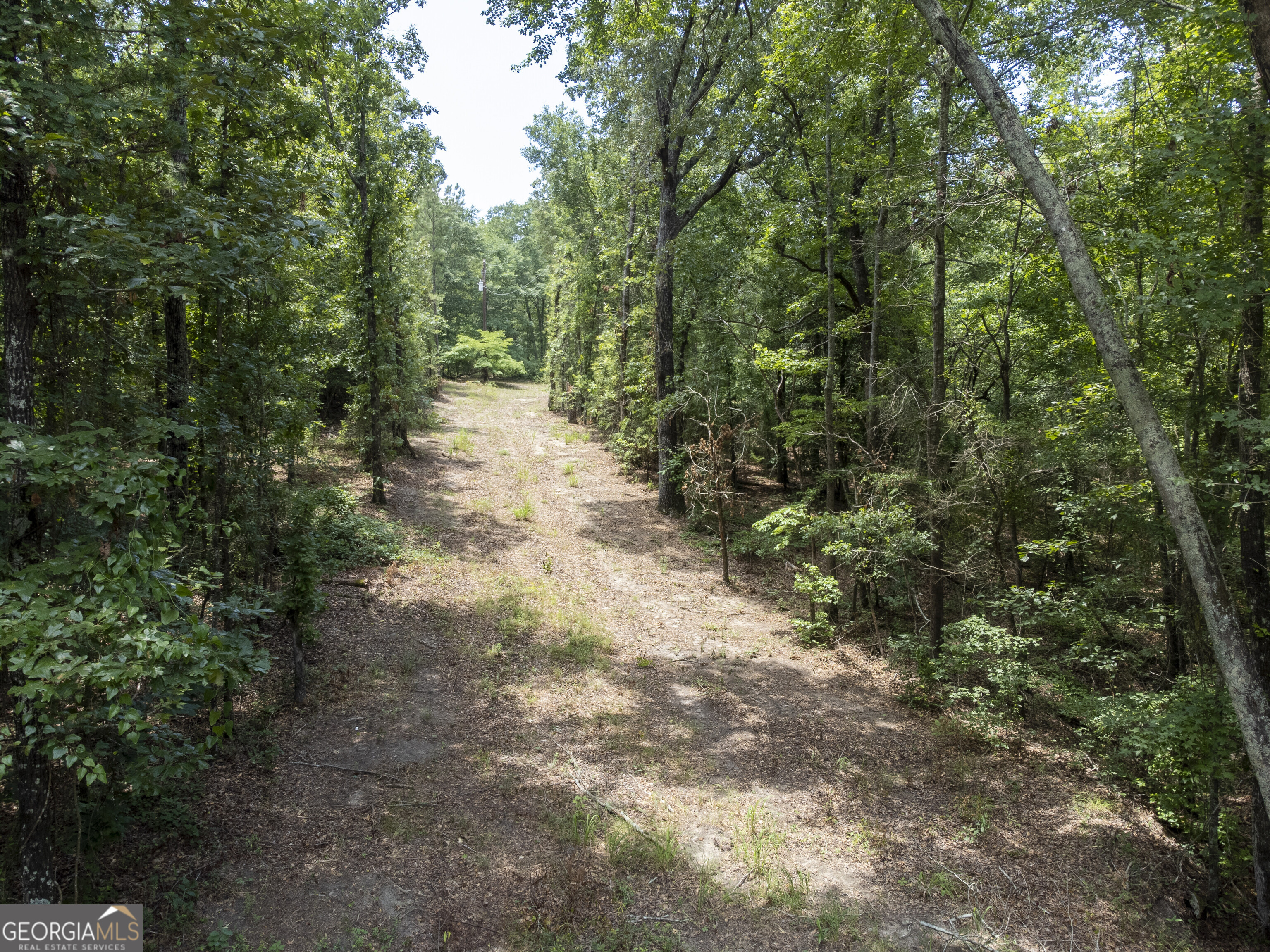 456 Horseshoe Circle Macon, GA 31217 - Photo 15 of 34 a view of a forest with trees in the background