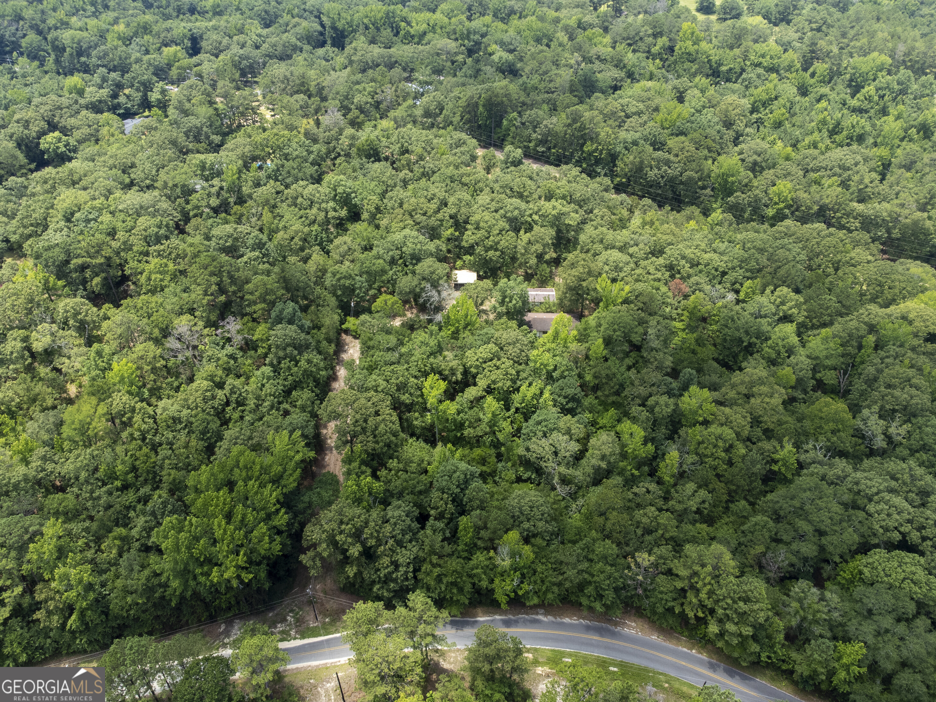 456 Horseshoe Circle Macon, GA 31217 - Photo 23 of 34 a view of a forest that has a tree