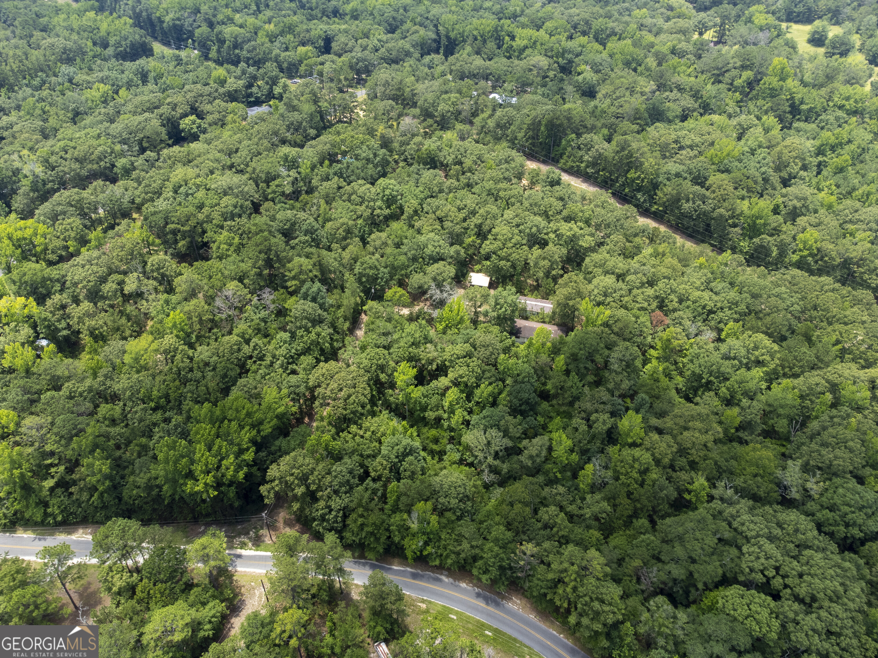 456 Horseshoe Circle Macon, GA 31217 - Photo 24 of 34 an aerial view of residential house with outdoor space and trees all around