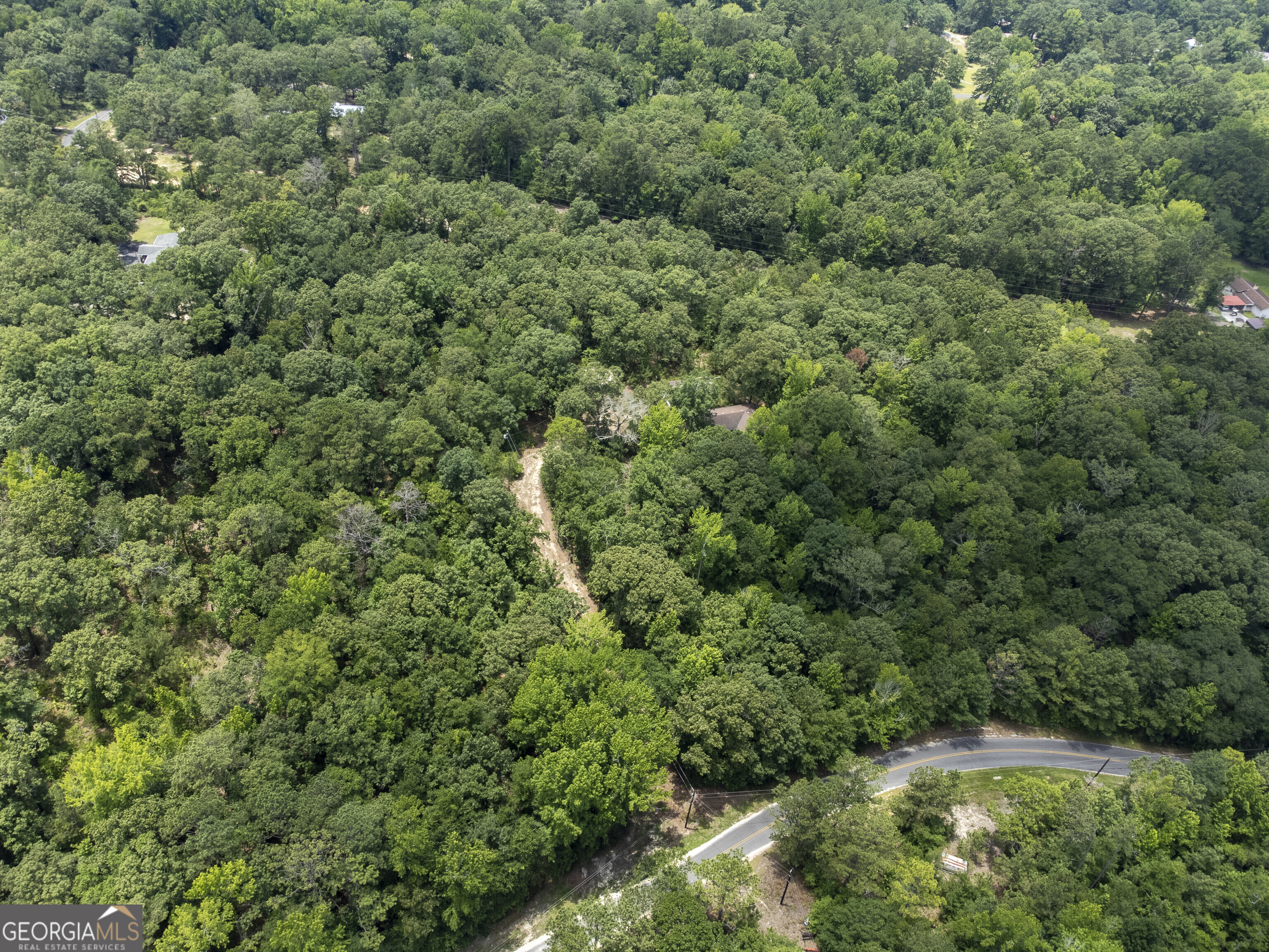456 Horseshoe Circle Macon, GA 31217 - Photo 25 of 34 an aerial view of residential house with outdoor space and trees all around