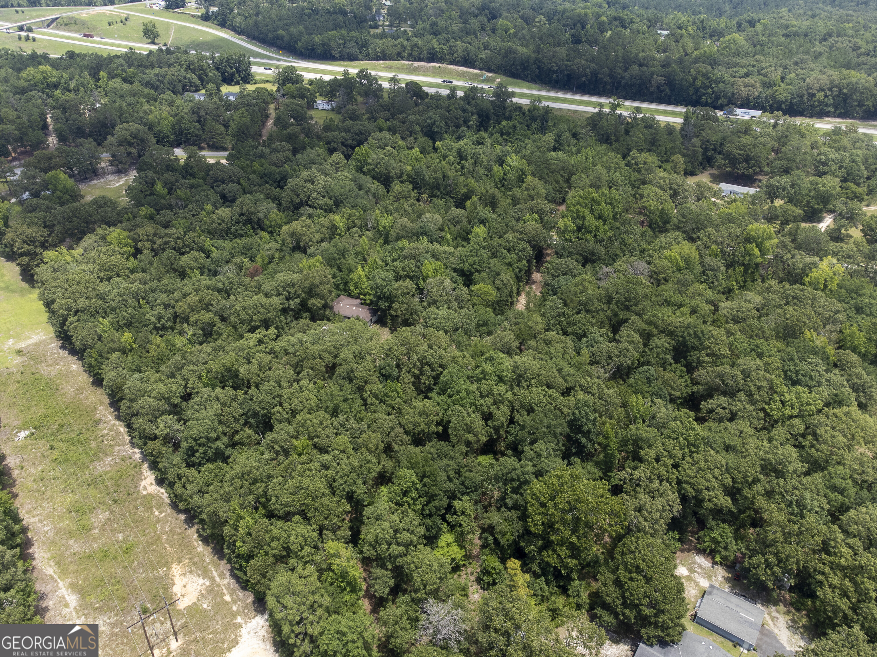 456 Horseshoe Circle Macon, GA 31217 - Photo 28 of 34 a view of a forest with a street