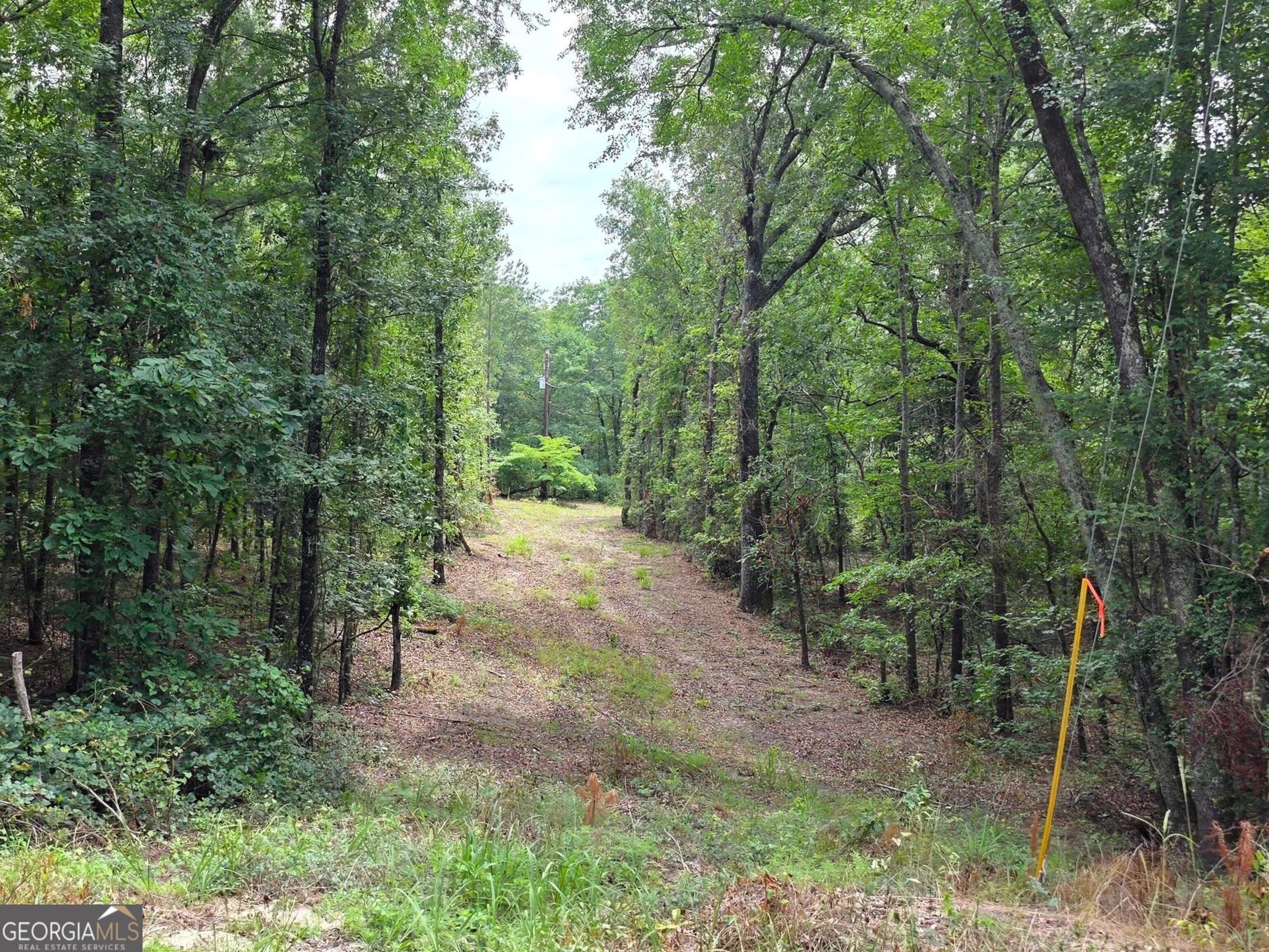 456 Horseshoe Circle Macon, GA 31217 - Photo 33 of 34 a view of a forest with trees