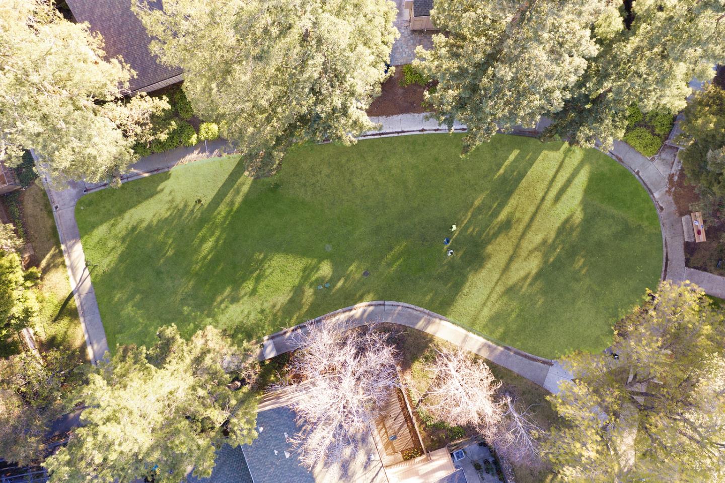 22856 Poplar Grove Square Cupertino, CA 95014 - Photo 65 of 82 a view of a lake from a yard