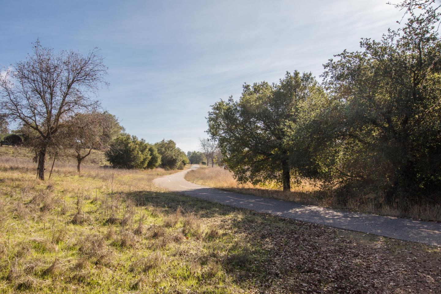 22856 Poplar Grove Square Cupertino, CA 95014 - Photo 82 of 82 a view of dirt yard with a tree