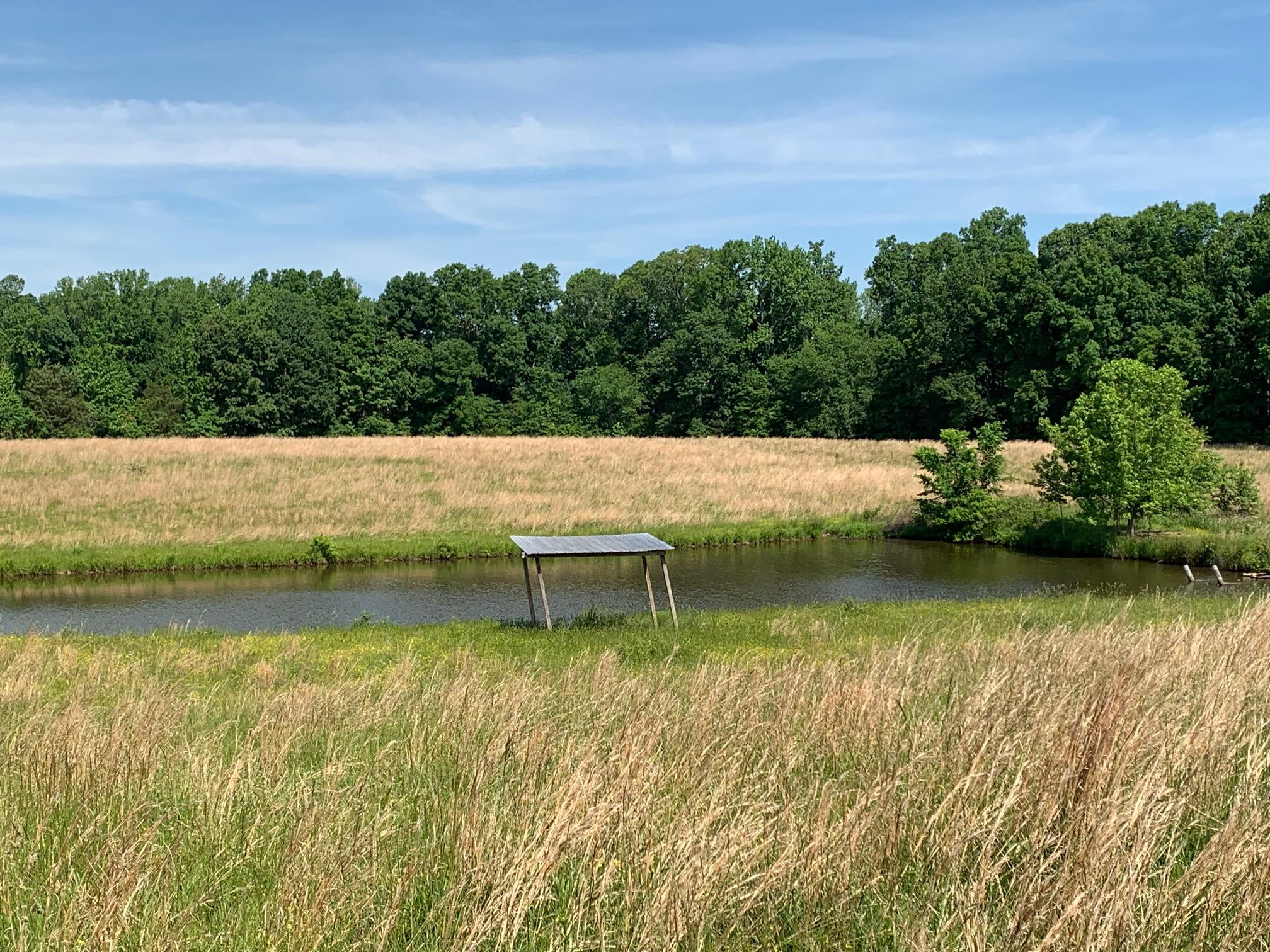 0 Knox Road Clarksville, TN 37043 - Photo 1 of 7 Large pond will sustain multiple head of livestock & fish!