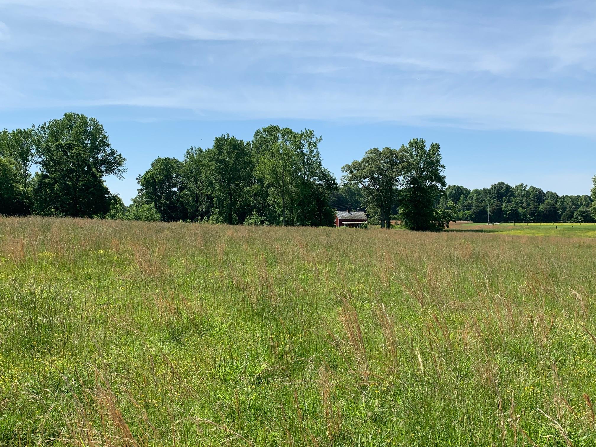 0 Knox Road Clarksville, TN 37043 - Photo 7 of 7 Gallery Image 7