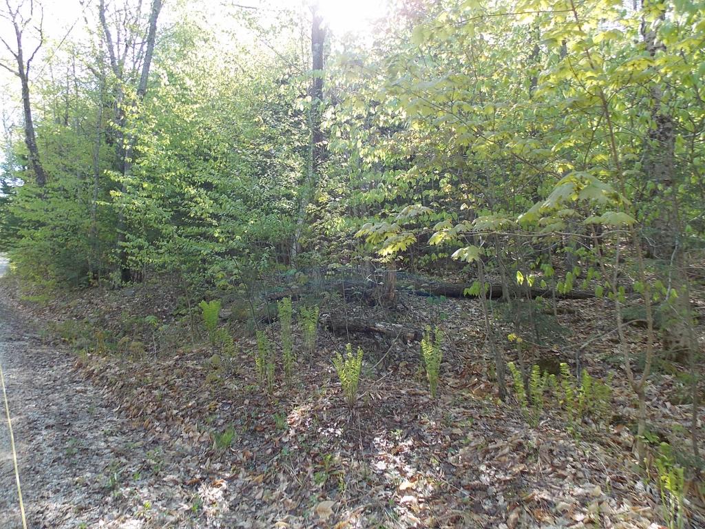 0 Hartman Road Lovell, ME 04051 - Photo 1 of 3