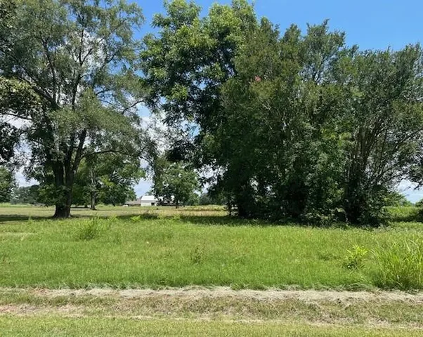 $92,500 | 328 North Bayou Rapides Road, Alexandria, LA 71303