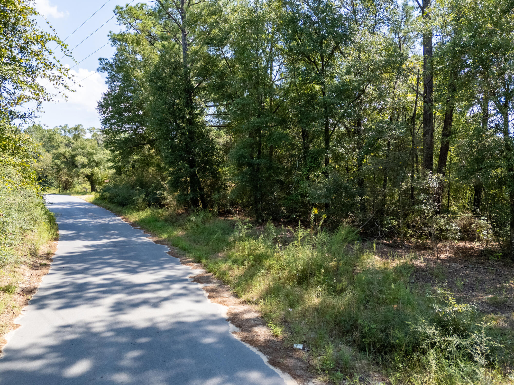 7873 Harper Road Laurel Hill, FL 32567 - Photo 13 of 14 7873 harper rd-awp012