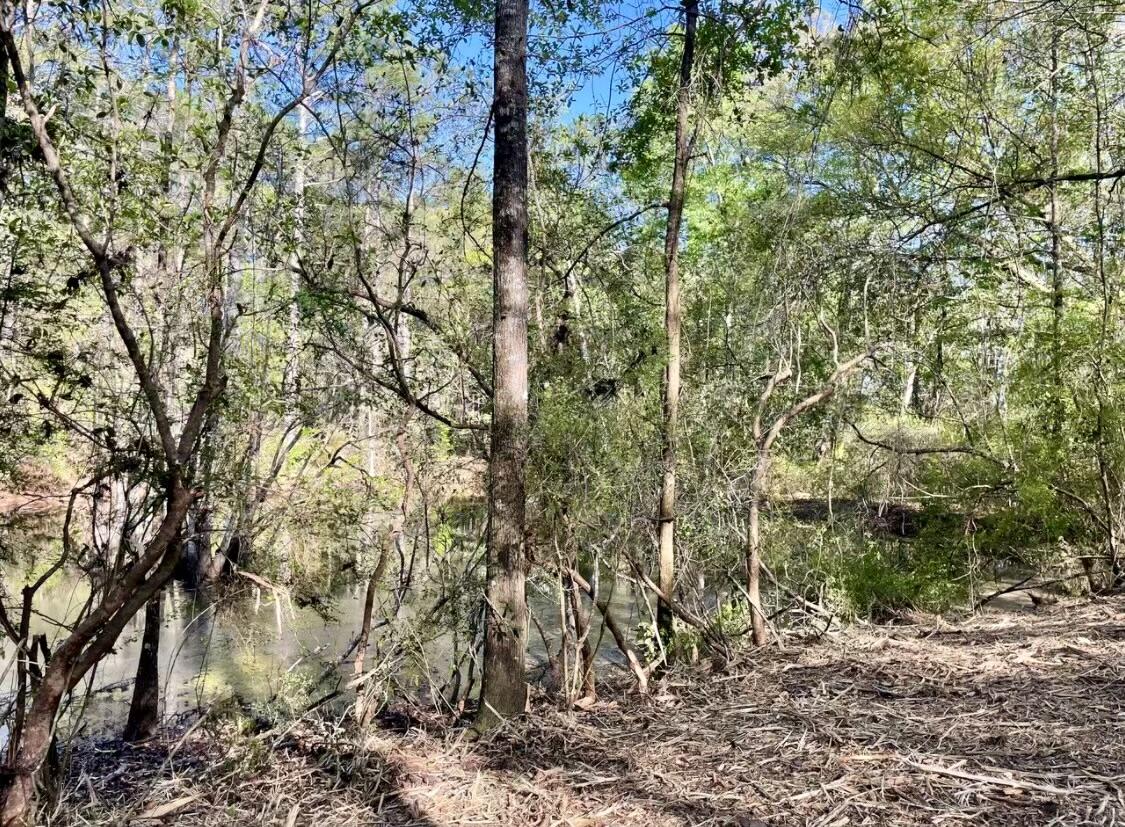 7873 Harper Road Laurel Hill, FL 32567 - Photo 14 of 14 IMG_5681
