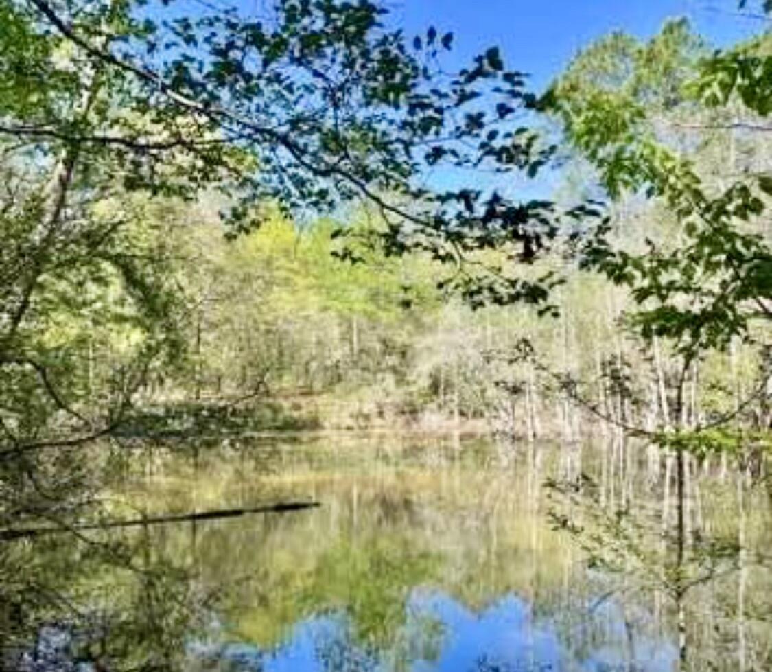 7873 Harper Road Laurel Hill, FL 32567 - Photo 2 of 14 IMG_5680