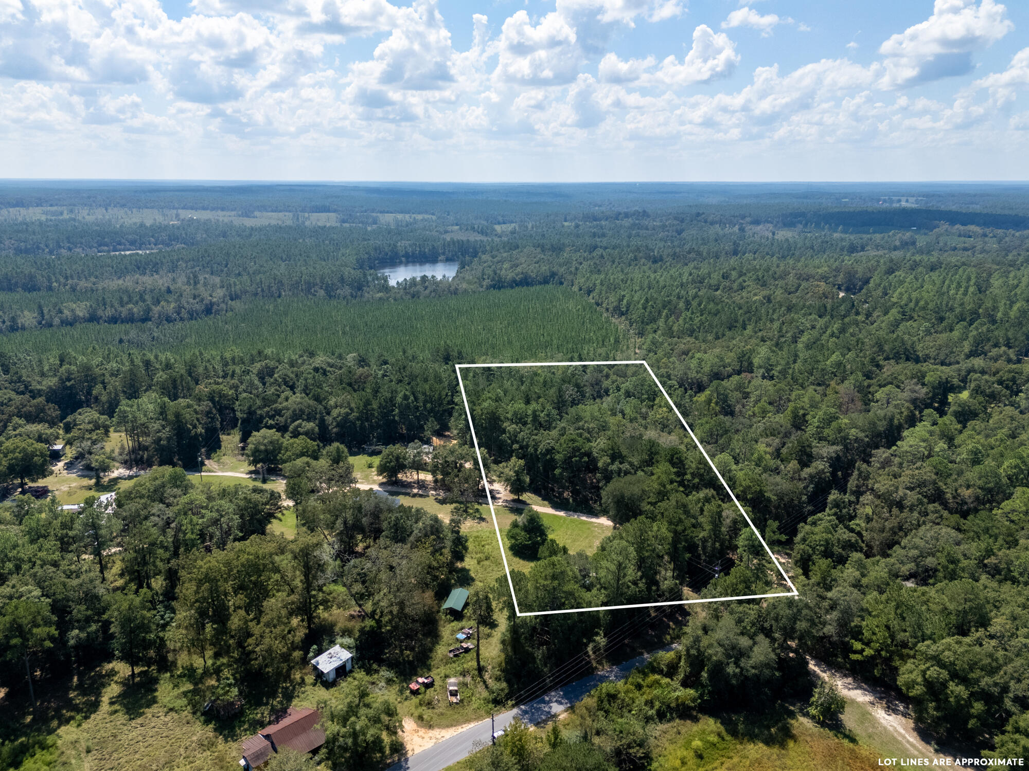 7873 Harper Road Laurel Hill, FL 32567 - Photo 6 of 14 7873 harper rd-awp002