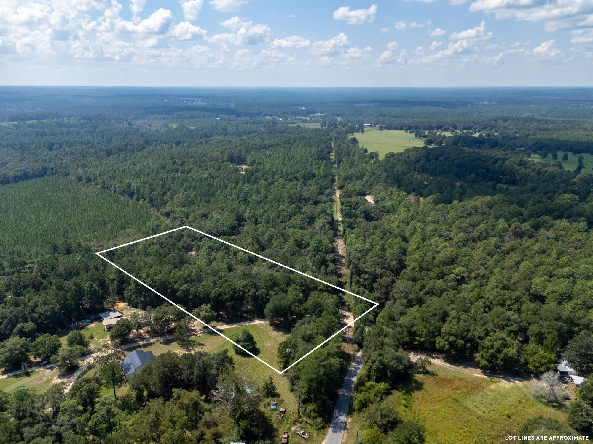 7873 Harper Road Laurel Hill, FL 32567 - Photo 9 of 14 7873 harper rd-awp008