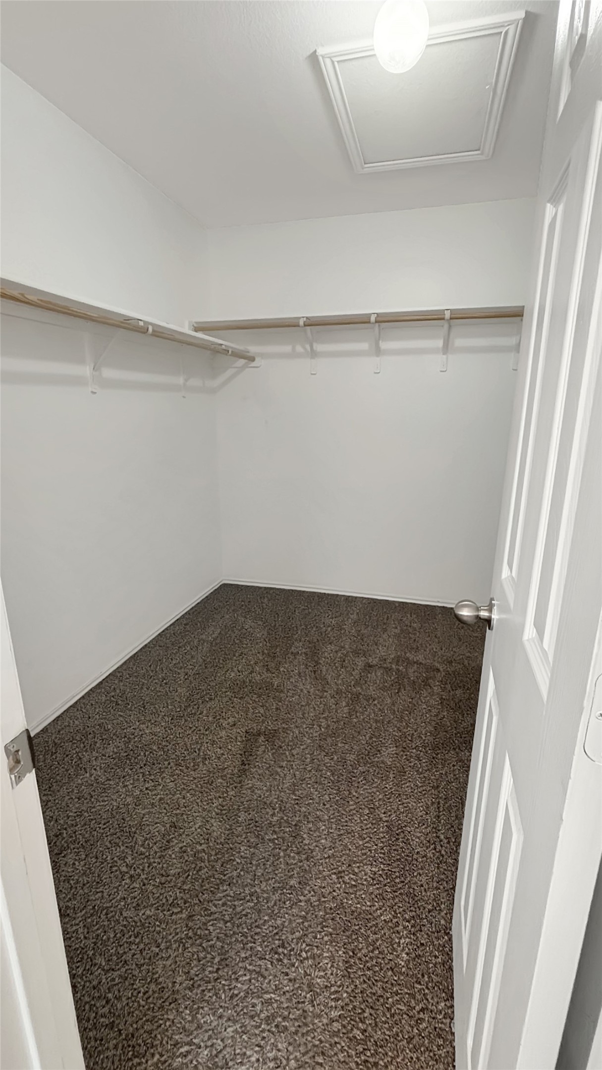 133 Langtry Lane Jarrell, TX 76537 - Photo 11 of 28 Large primary closet connected to the bathroom. Spacious closet.