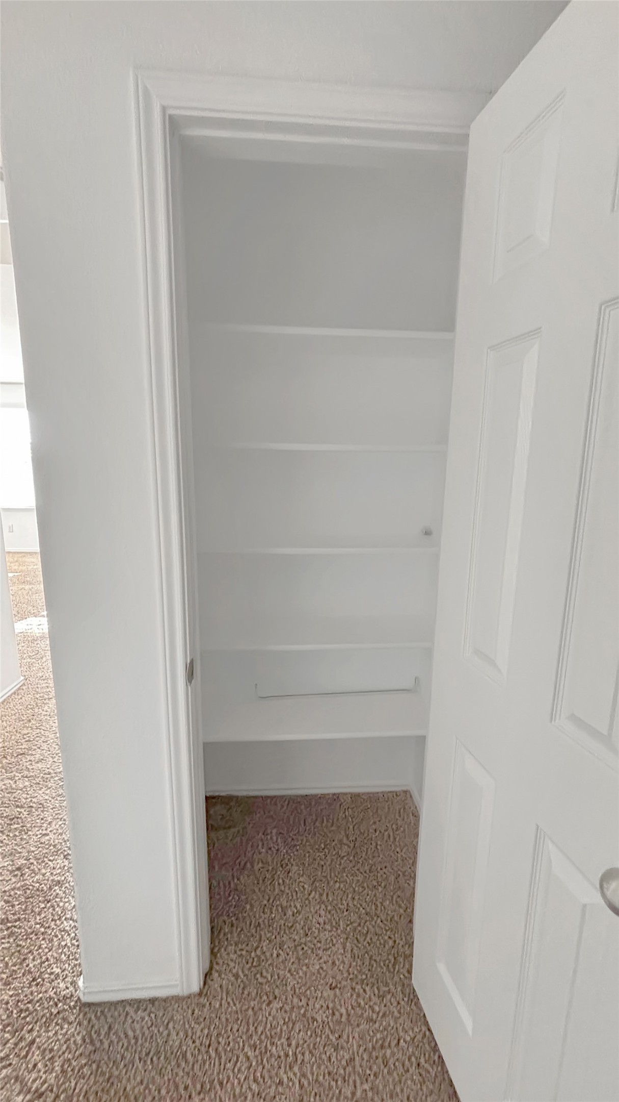 133 Langtry Lane Jarrell, TX 76537 - Photo 18 of 28 Upstairs storage closet. Lots of extra storage in this home.