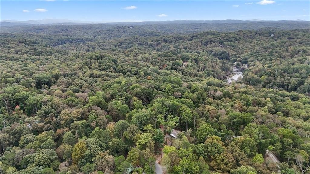 253 Zenith Trail Ellijay, GA 30540 - Photo 29 of 34 an aerial view of residential houses with outdoor space and trees