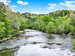 253 Zenith Trail Ellijay, GA 30540 - Photo 31 of 34 a view of a yard with a tree