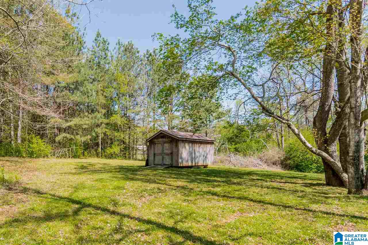 101 Deer Trace Road Oneonta, AL 35121 - Photo 43 of 50